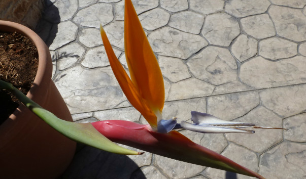 P1000701