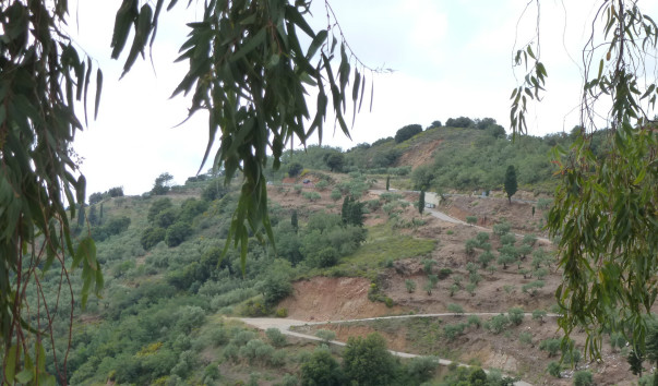 P1000663