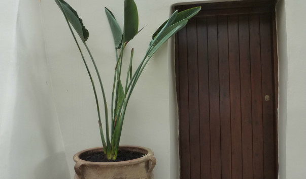 P1000660