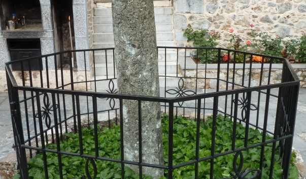 P1000657
