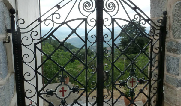 P1000613