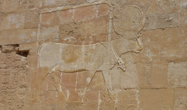 P1030165