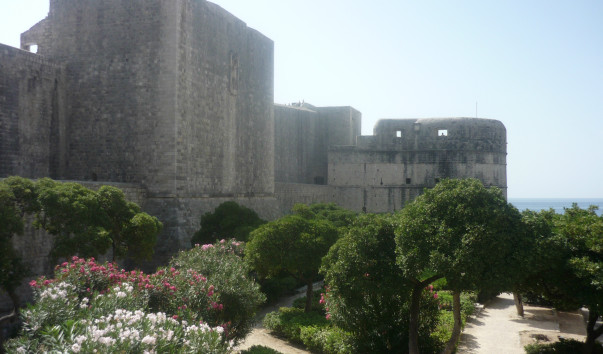 P1000514