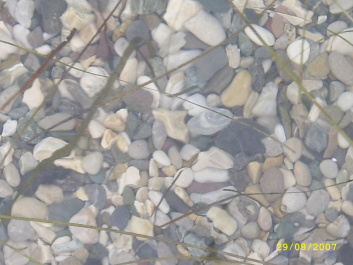 photo 78605