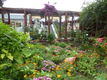 photo 972905