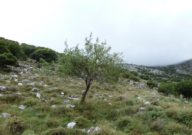 photo 164089