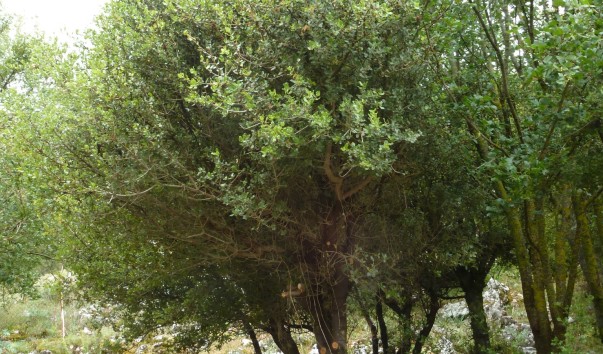 P1000495