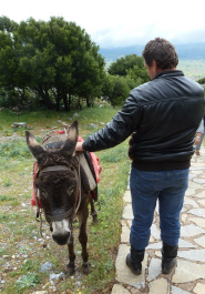 photo 164134