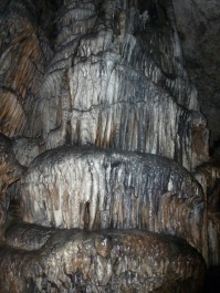 photo 164709