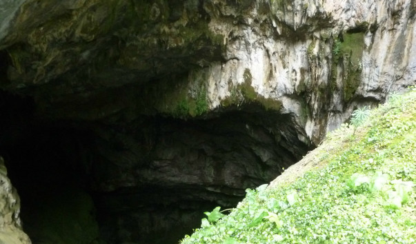P1000536