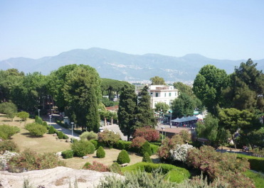 photo 195376