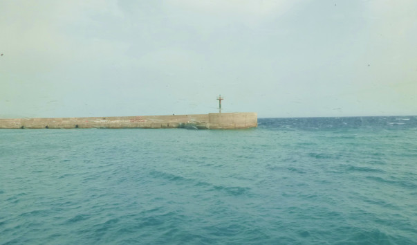 P1000778