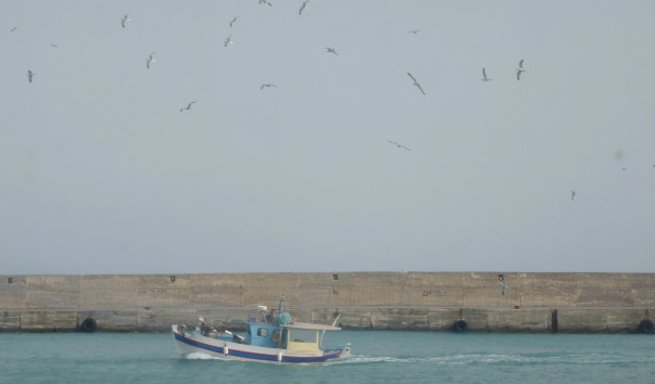 P1000777