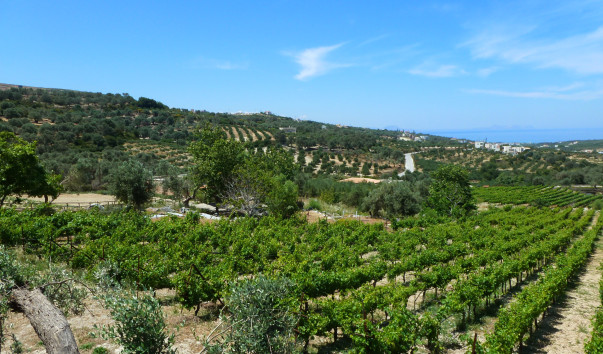 P1040253