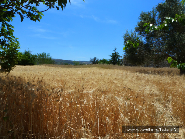 photo 394261