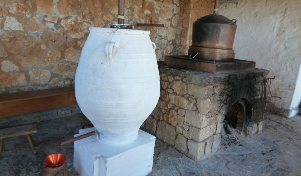 P1040291