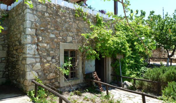 P1040283
