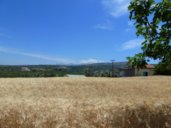 photo 395871