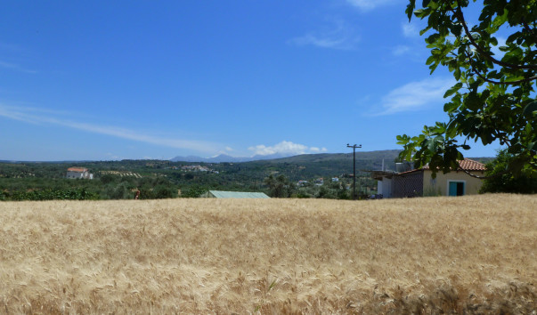P1040273