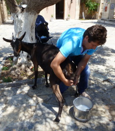 photo 422237