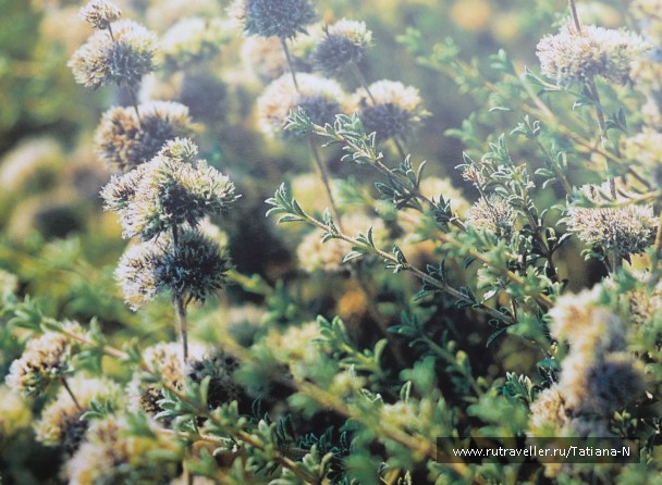 photo 422223