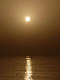 photo 1114220