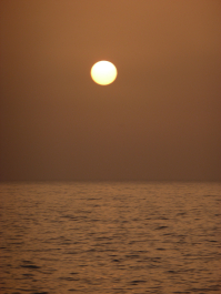 photo 1115080