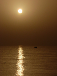 photo 1115084