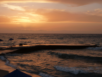 photo 1115529