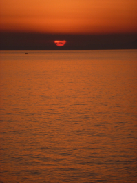 photo 1125823