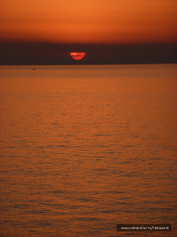photo 1125823