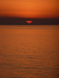 photo 1125824