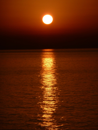 photo 1125838