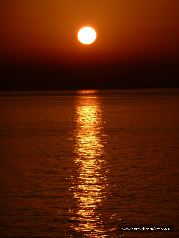 photo 1125838