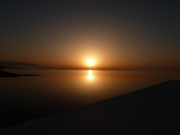 photo 1125847
