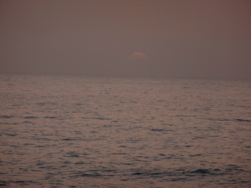 photo 441647