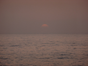 photo 441648