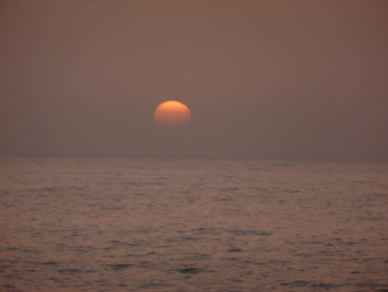 photo 441652