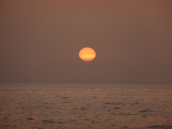 photo 441656