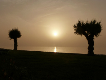 photo 448794