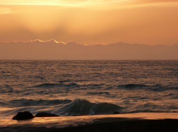 photo 448796