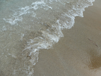 photo 421093
