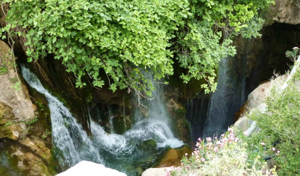 P1050037