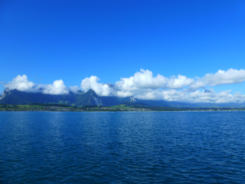 photo 507555