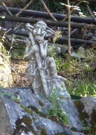 photo 595533