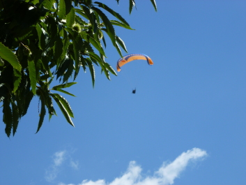 photo 606208
