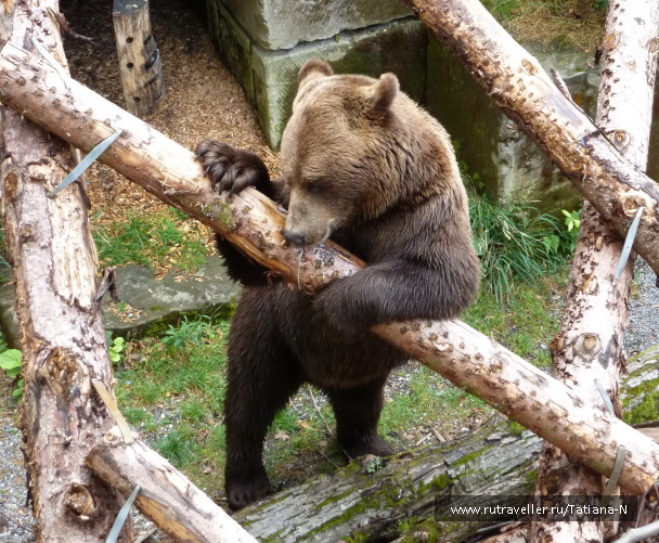 photo 1127431