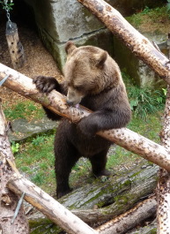 photo 1127432