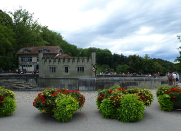 photo 1127434