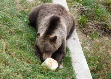 photo 1127436